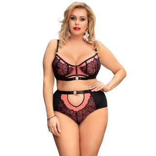 Plus Size Exquisite Sexy Lace Splice Bra Set with Underwire Pink 16-18