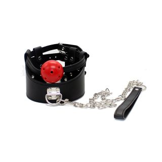 Collar and Ball Gag 2 in 1