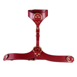Neck & Waist Harness - Red