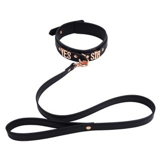 Yes Sir Collar & Leash