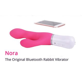 Lovense Nora