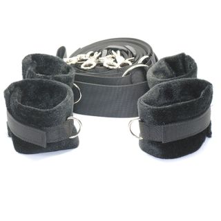 Premier Bed Restraint Kit 135379