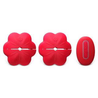 10 Speed Remote Control Vibrating Nipple Clamps