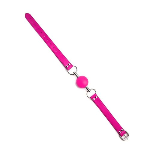 Solid Pink Ball Gag