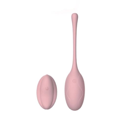 SXE Hope Remote Controlled Egg