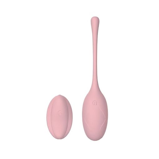 SXE Hope Remote Controlled Egg