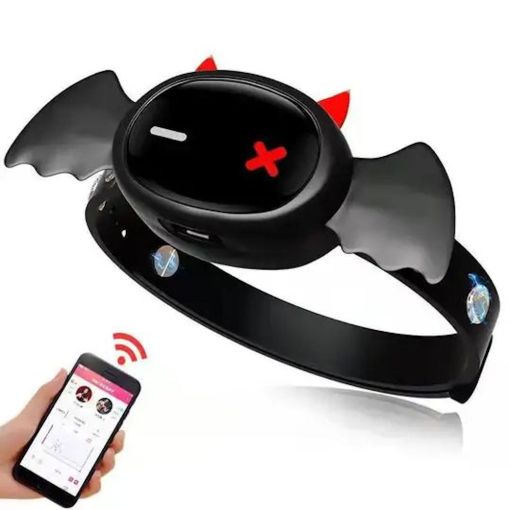 Little Devil Shock Collar 