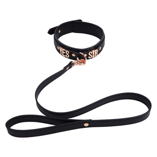 Yes Sir Collar & Leash